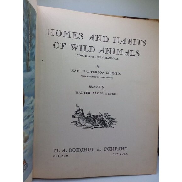 1934 Homes and Habits of Wild Animals Walter Weber Illustrations Children's Book - Picture 7 of 16